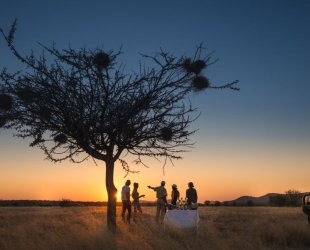 Ongava Lodge