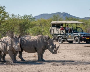 Ongava Lodge