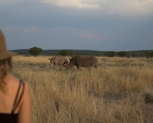 Ongava Lodge