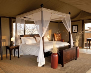 Tented Room
