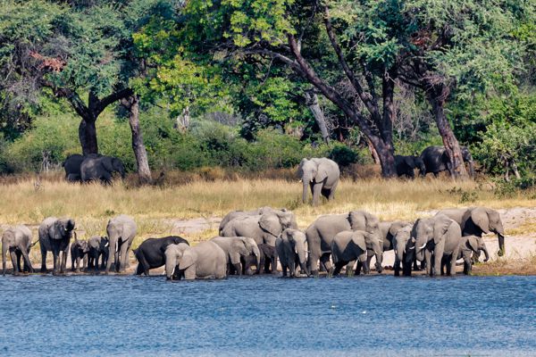 Zambezi Region