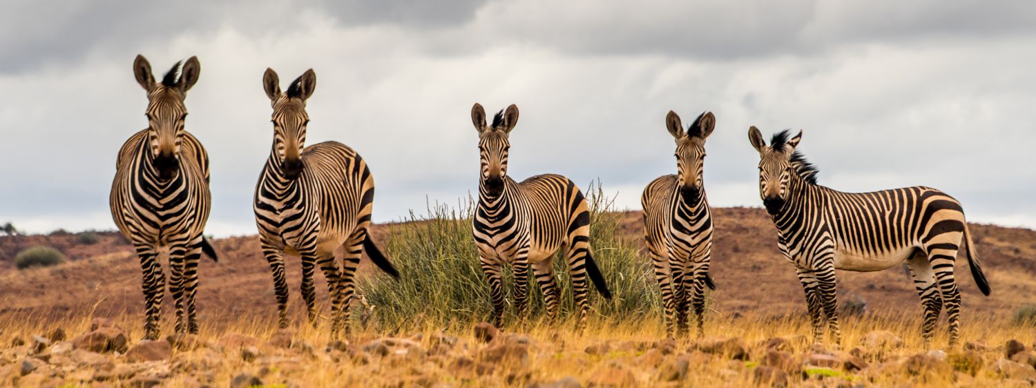 Damaraland und Kaokoveld