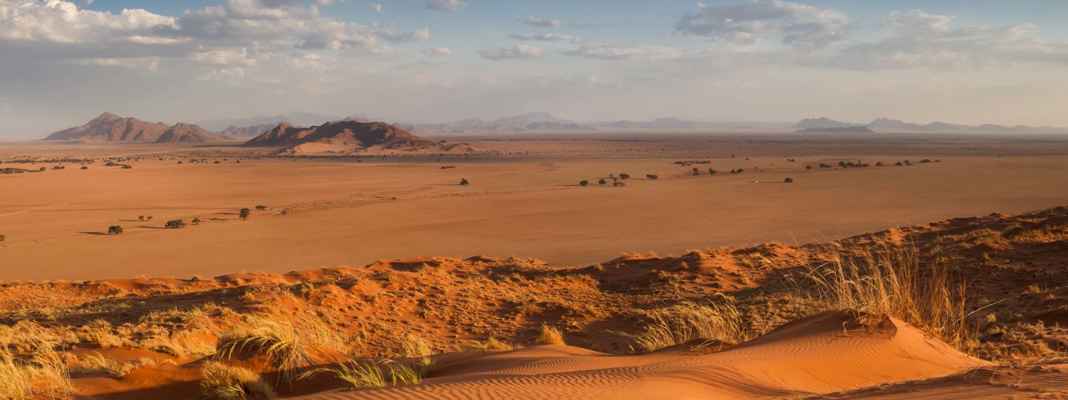 Namib Desert