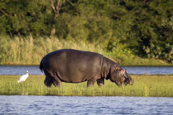 iSimangaliso Wetland Park