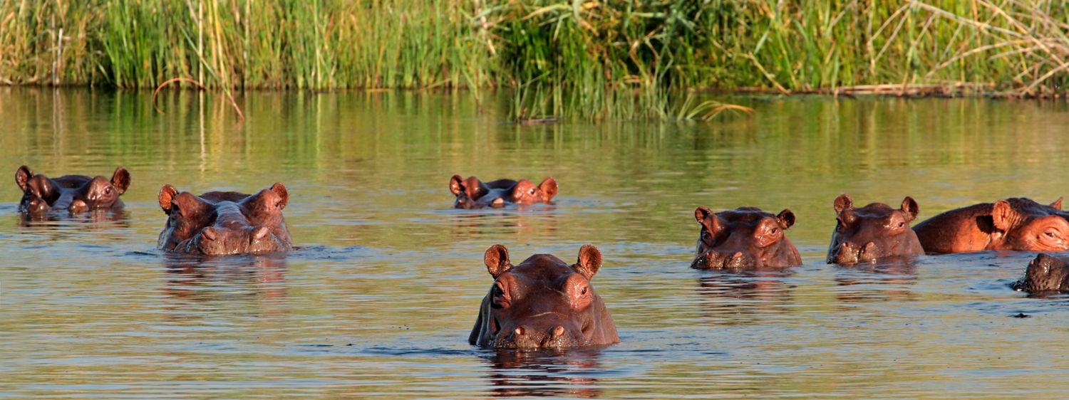 iSimangaliso Wetland Park