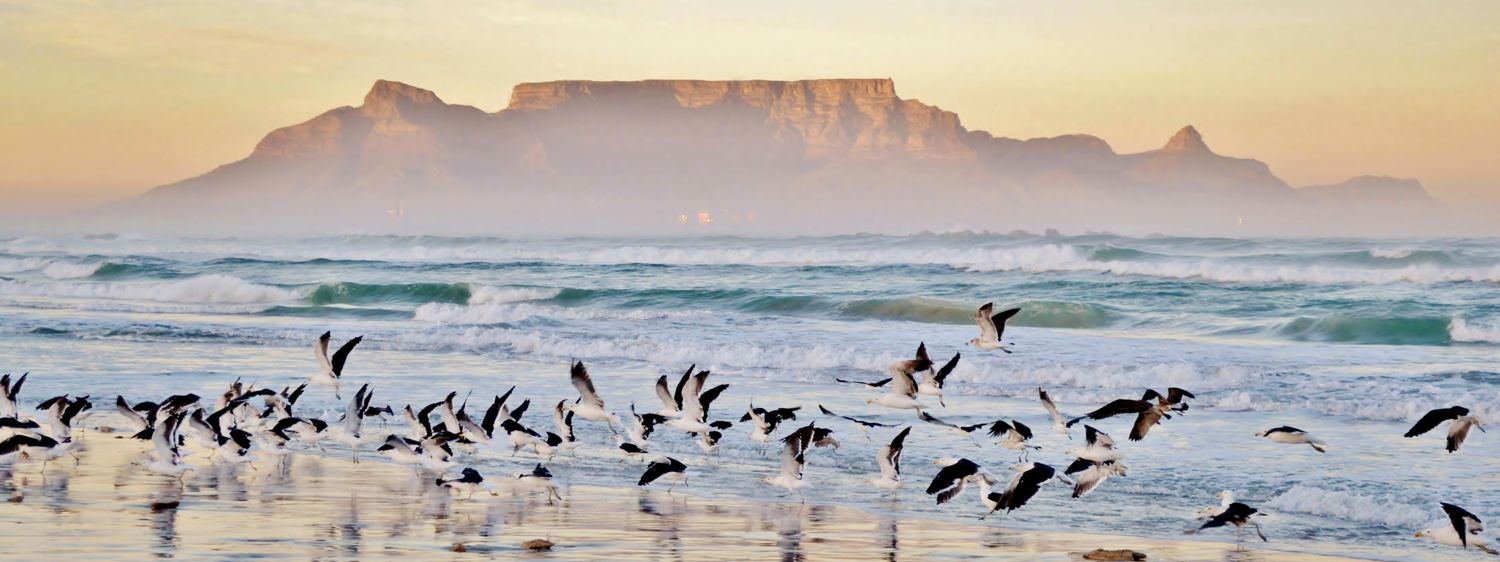 Cape Peninsula