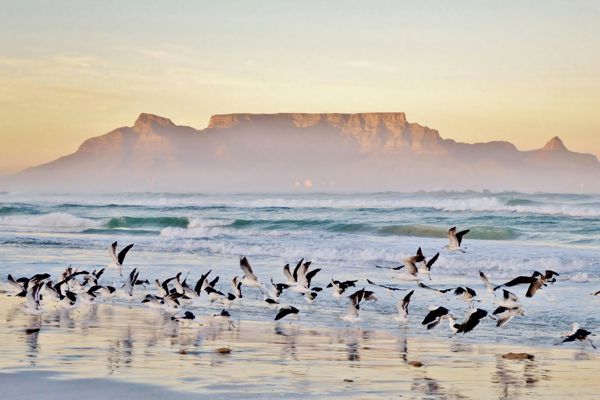 Cape Peninsula