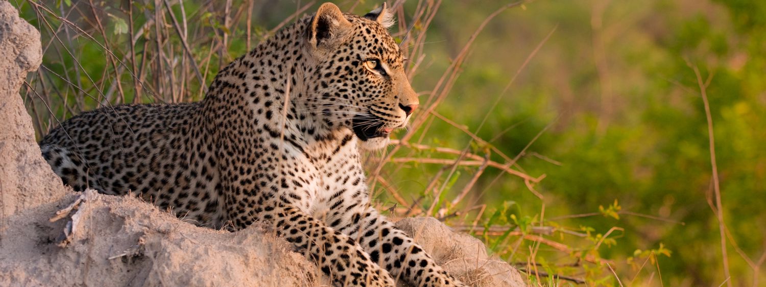 Kruger National Park
